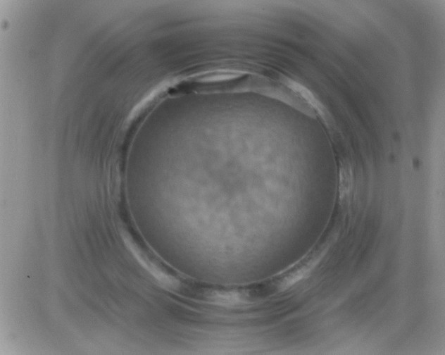 X0000081370349200701252020