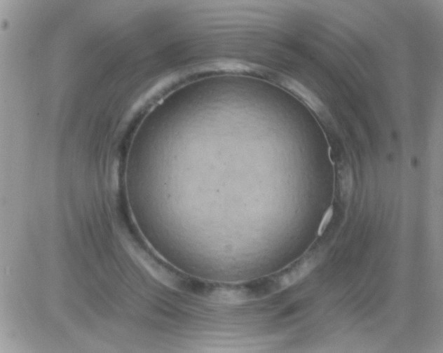 X0000081370350200701252020