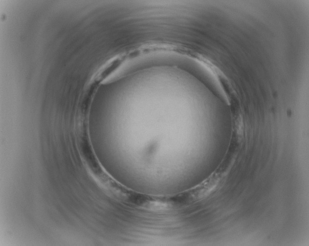 X0000081370352200701252020