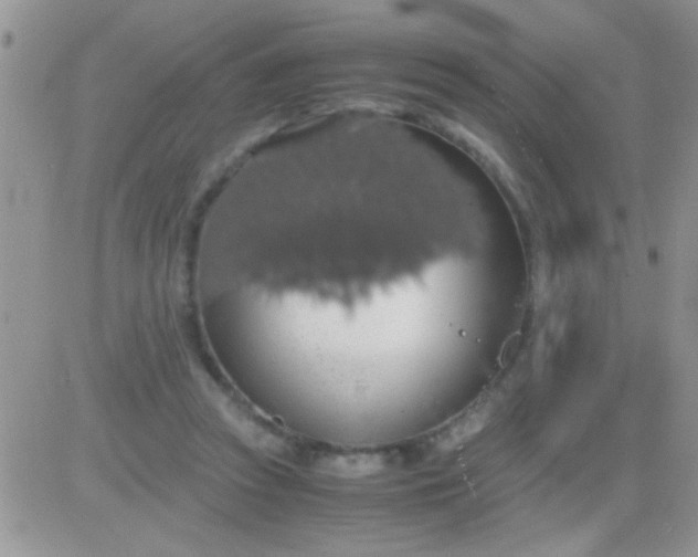 X0000081370353200701252020