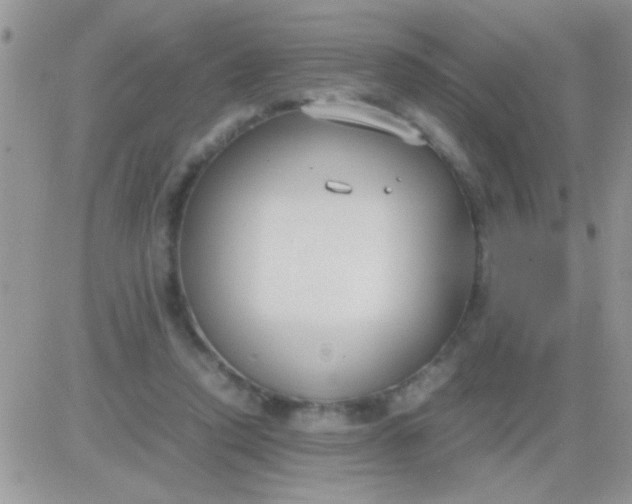 X0000081370354200701252020