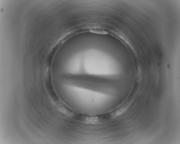 X0000081370355200701252020