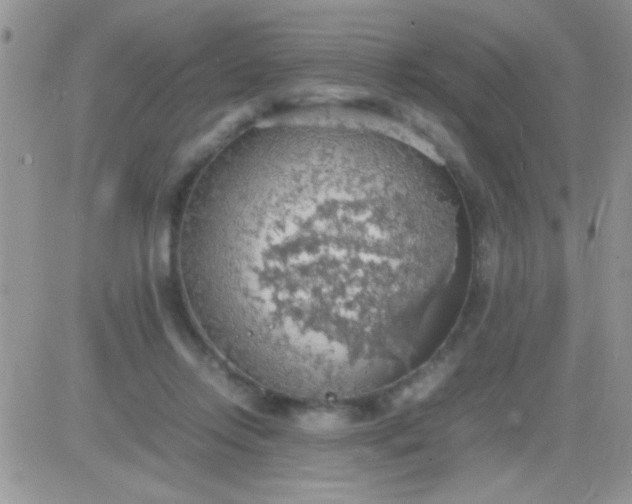 X0000081370358200701252020