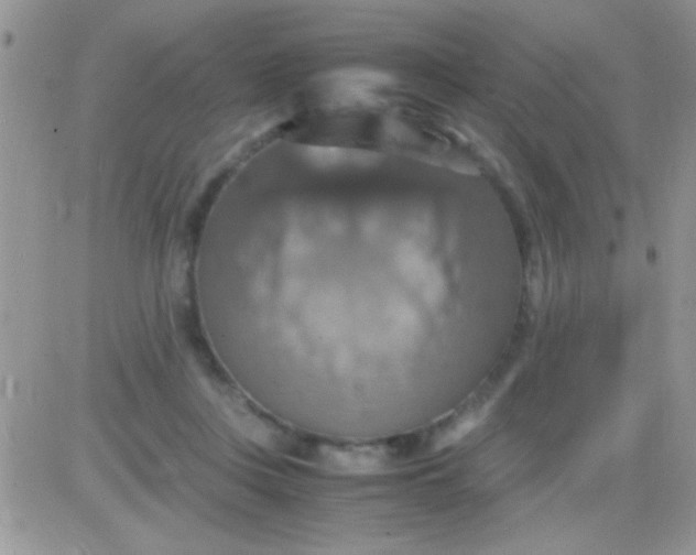 X0000081370359200701252020