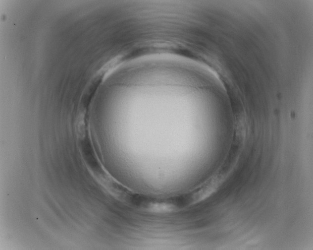 X0000081370360200701252020