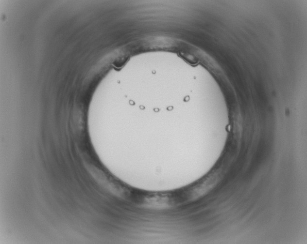 X0000081370362200701252020