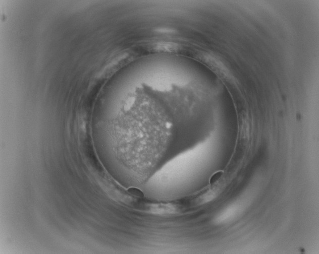 X0000081370363200701252020