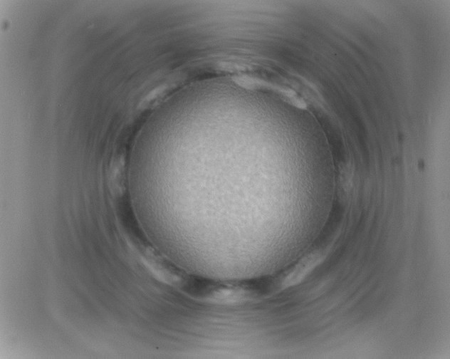 X0000081370364200701252020