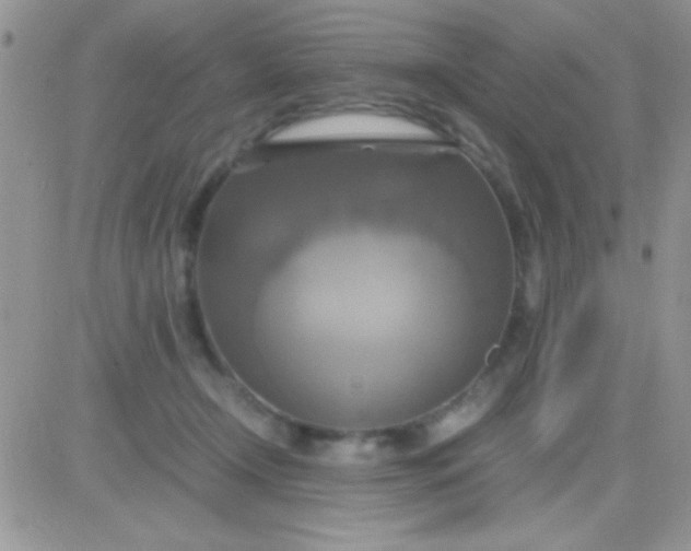 X0000081370366200701252020