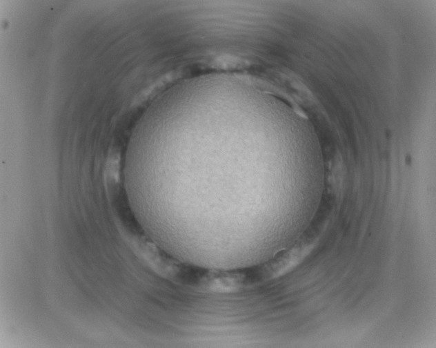 X0000081370368200701252020