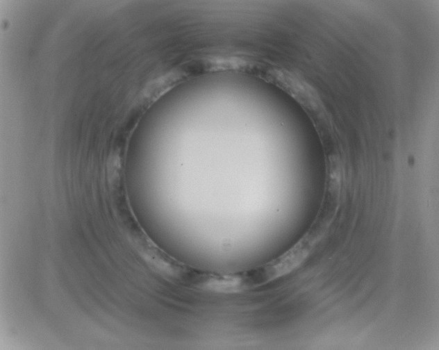 X0000081370369200701252020