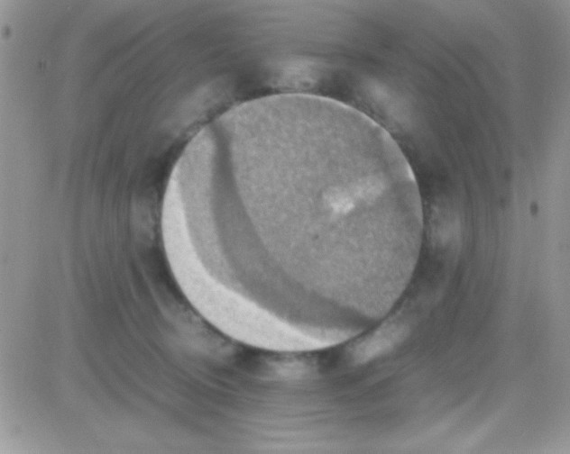 X0000081370370200701252020