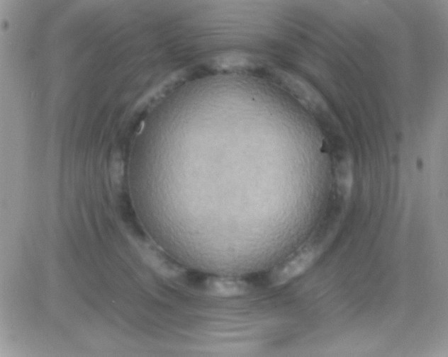 X0000081370372200701252020