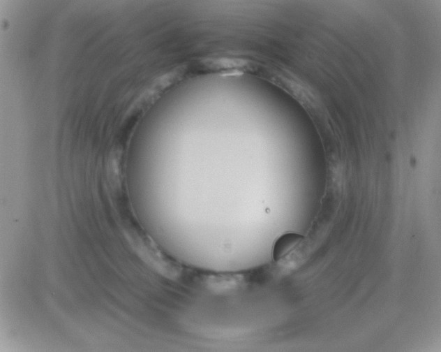 X0000081370373200701252020