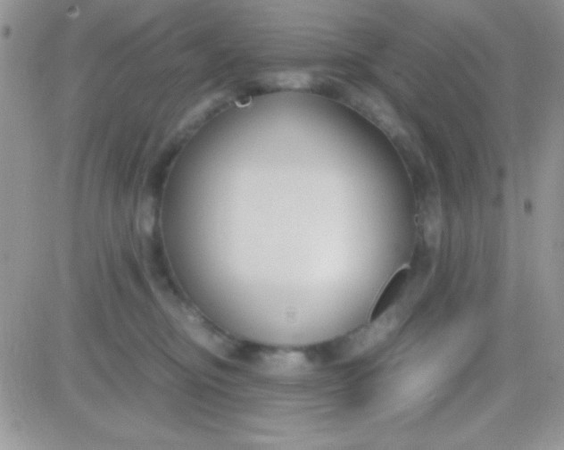 X0000081370374200701252020