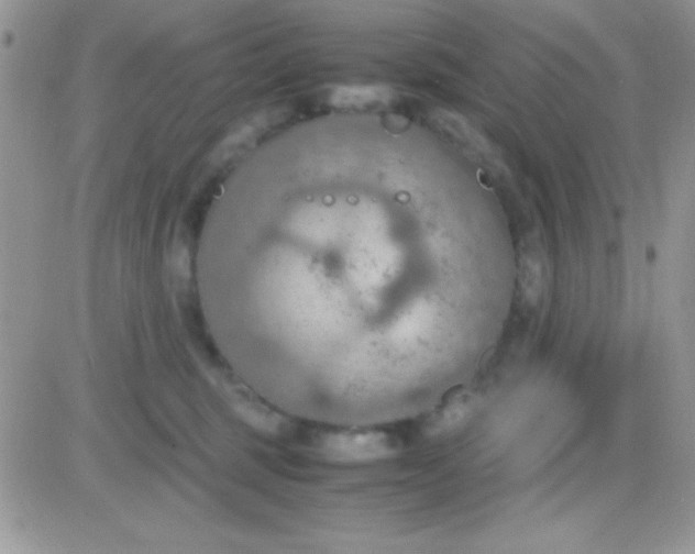 X0000081370375200701252020