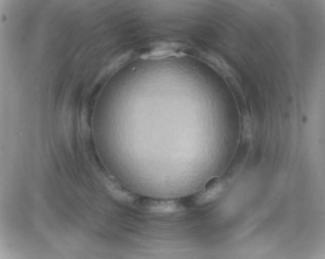 X0000081370377200701252020