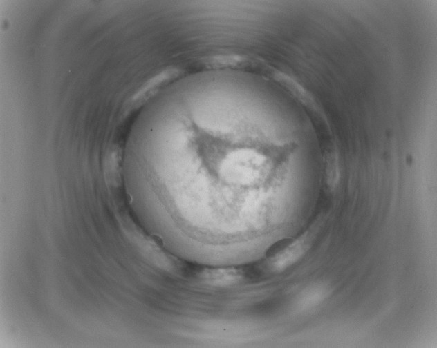 X0000081370378200701252020