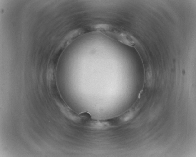 X0000081370379200701252020