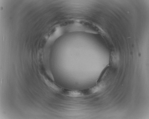 X0000081370380200701252020