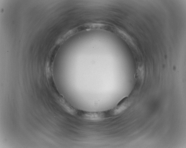 X0000081370381200701252020