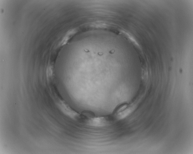 X0000081370382200701252020