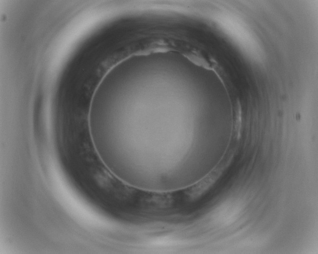 X0000081370383200701252020