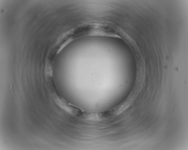 X0000081370384200701252020