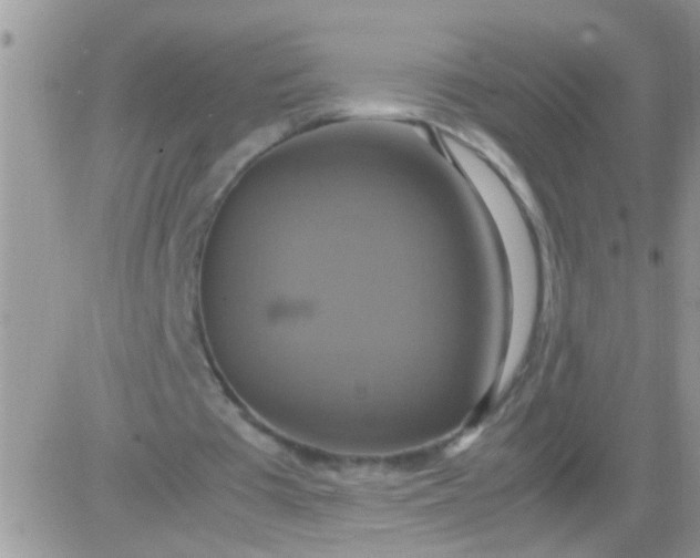 X0000081370385200701252019