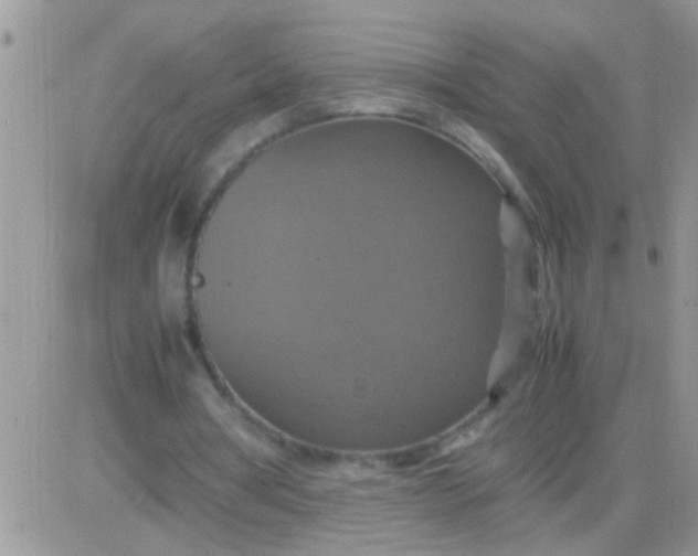 X0000081370386200701252019