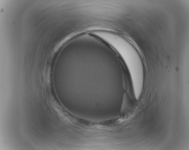 X0000081370387200701252019