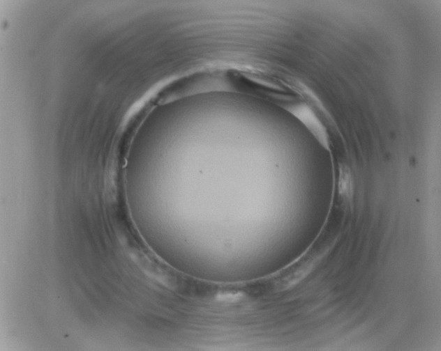 X0000081370388200701252019