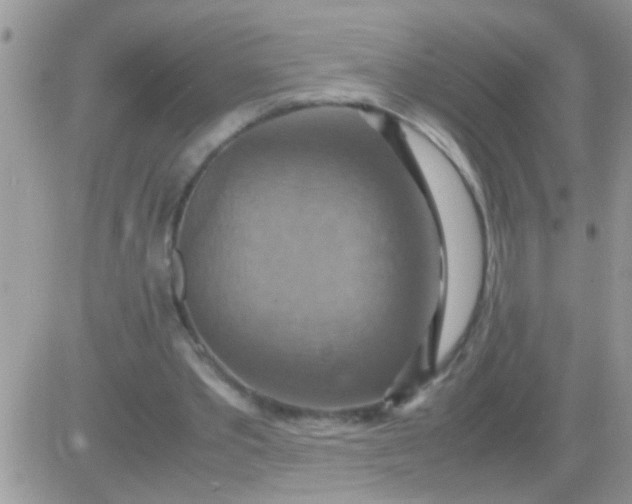 X0000081370389200701252019