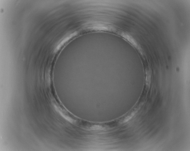 X0000081370390200701252019