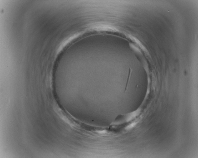 X0000081370391200701252019