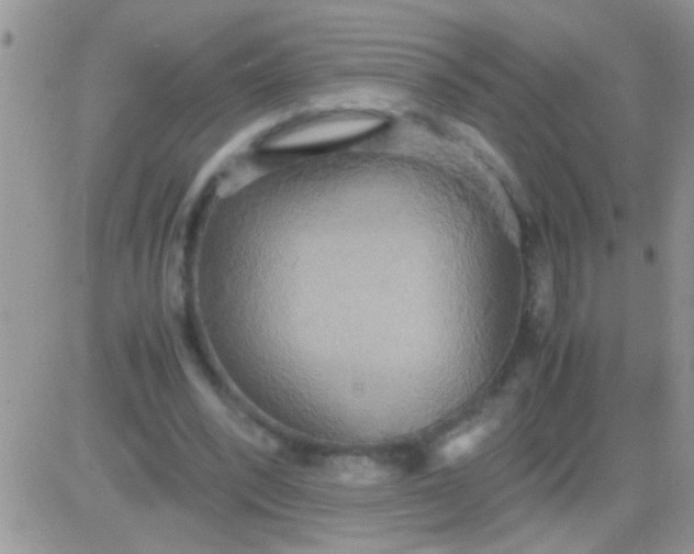 X0000081370392200701252019