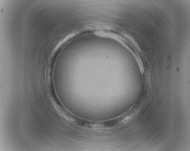 X0000081370395200701252019