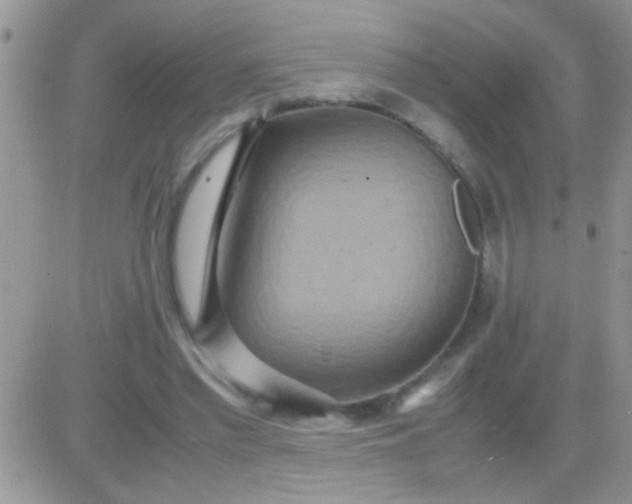 X0000081370397200701252019