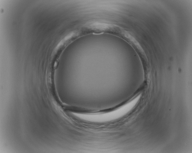 X0000081370399200701252019