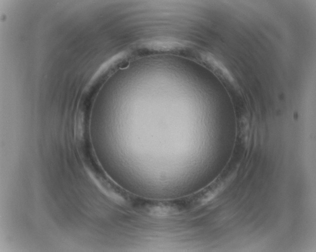 X0000081370400200701252019