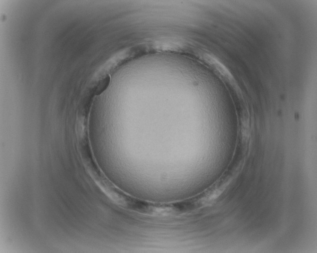 X0000081370401200701252019