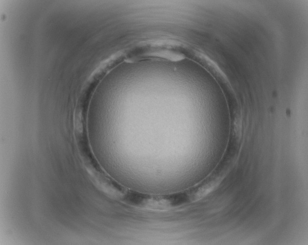 X0000081370403200701252019