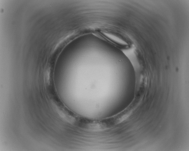 X0000081370404200701252019