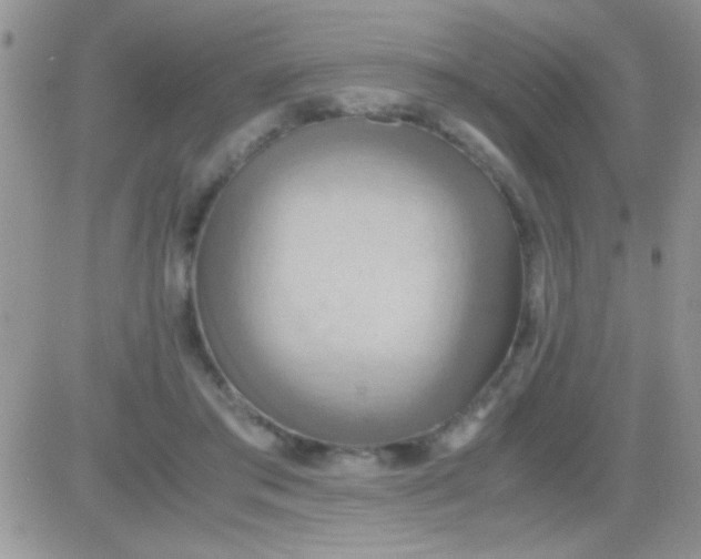 X0000081370405200701252019