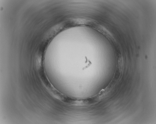 X0000081370406200701252019