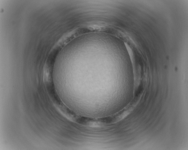 X0000081370408200701252019