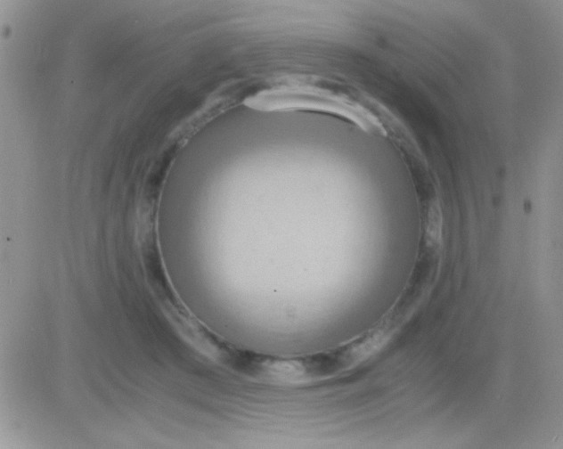 X0000081370409200701252019