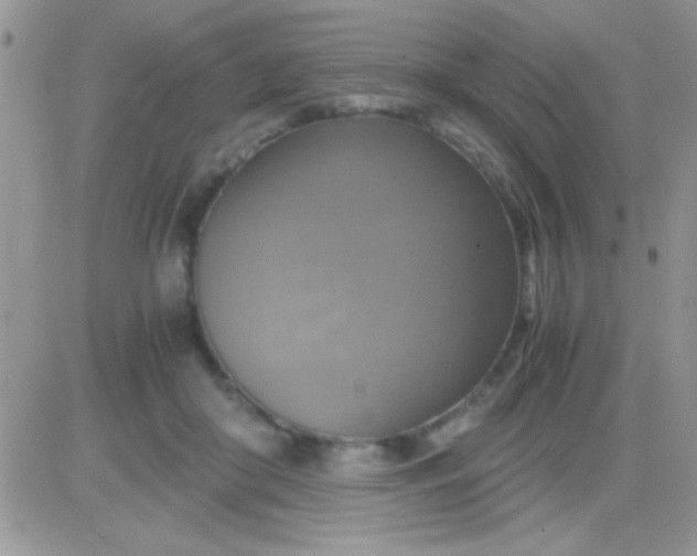 X0000081370410200701252019