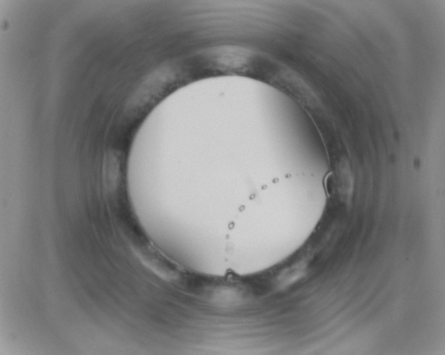 X0000081370412200701252019