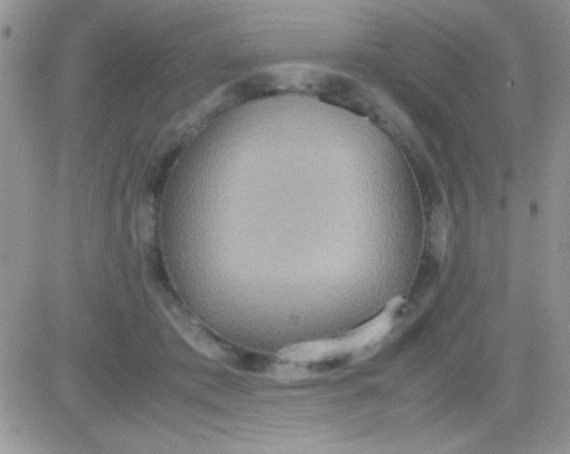 X0000081370413200701252019